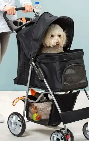 Woolworth Heimtier Buggy Angebot