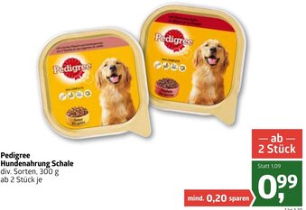 ADEG Pedigree Hundenahrung Schale 300 g Angebot