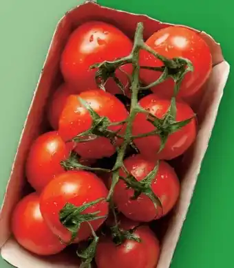 Lidl Cocktailstrauchtomaten Angebot