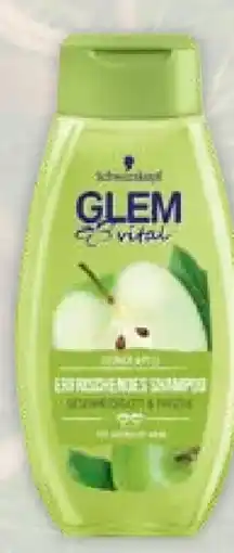 Müller Glem Vital Shampoo Angebot