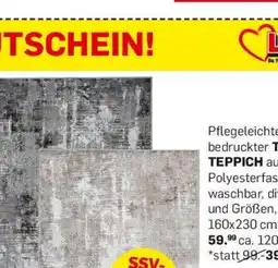 Möbel Ludwig Teppich 80x150cm Angebot