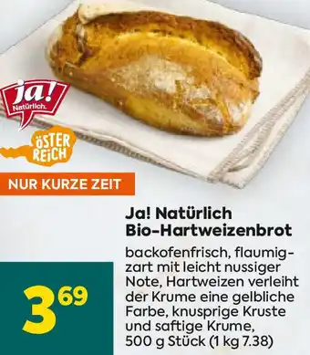 Billa Bio-Hartweizenbrot Angebot