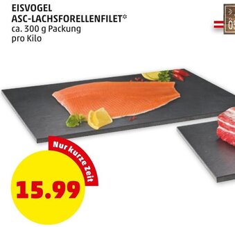 PENNY Eisvogel Asc Lachsforellenfilet 300 g Angebot