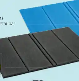 Hofer Sitzkissen Angebot