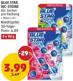 PENNY BLUE STAR WC-STEINE 3x50g Angebot
