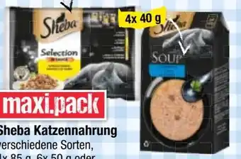 Maximarkt Katzennahrung Angebot