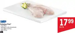 Metro Kabeljau Filet Angebot