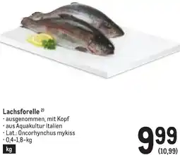 Metro Lachsforelle Angebot