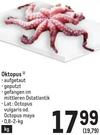 Metro Oktopus Angebot