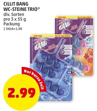 PENNY Cillit Bang Wc-Steine Trio 3x35 g Angebot
