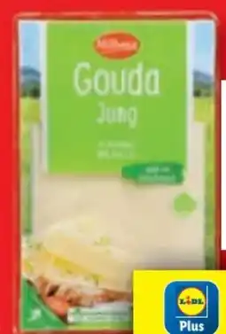 Lidl Gouda Angebot