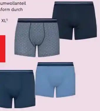 Lidl Herren Boxer Angebot