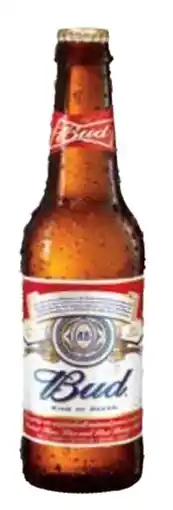 Transgourmet Bier Angebot