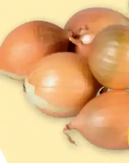 PENNY Zwiebeln Angebot