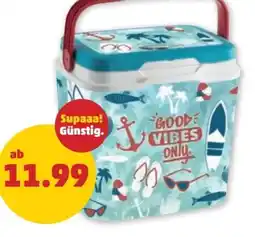 PENNY Kühlbox Angebot