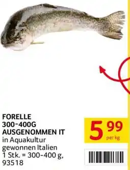 Transgourmet FORELLE 300-400G AUSGENOMMEN IT Angebot