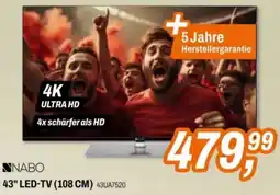 Expert 43" LED-TV 108 CM Angebot