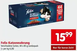 Interspar Felix Katzennahrung Angebot