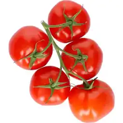 MPreis Midi Rispentomaten MPREIS 400 Gramm 1 Packung Angebot