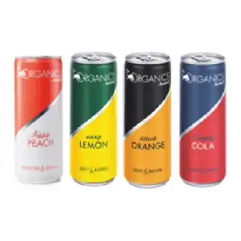 Hofer The ORGANICS by Red Bull versch. Sorten HOFER 0.25 Liter 1 Dose Angebot