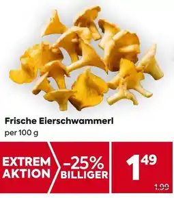 Billa Frische Eierschwammerl 100g Angebot