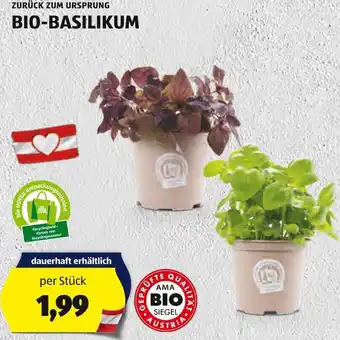 Hofer ZURÜCK ZUM URSPRUNG BIO-BASILIKUM Angebot