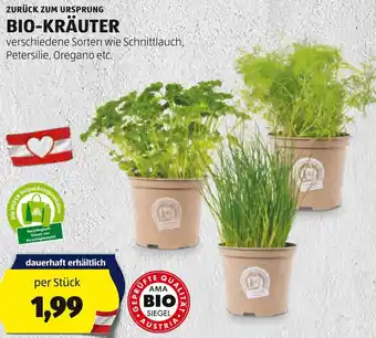 Hofer ZURÜCK ZUM URSPRUNG BIO-KRÄUTER Angebot