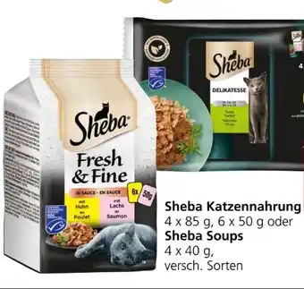 Spar Katzennahrung Angebot