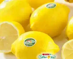 Spar Bio-Zitronen Angebot