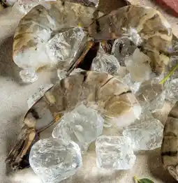 Interspar Bio-Black Tiger Garnelen Angebot