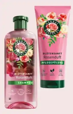 Interspar Shampoo Angebot