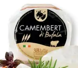 SPAR Gourmet Büffel Camembert Angebot