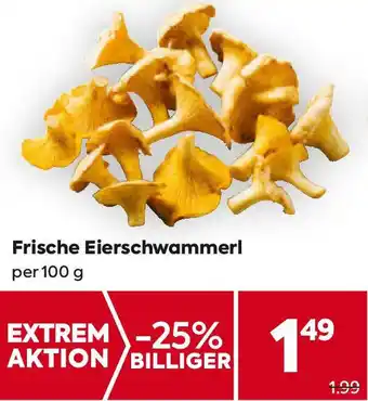 Billa Frische Eierschwammerl 100 g Angebot