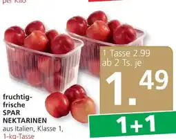 SPAR Gourmet Nektarinen Angebot
