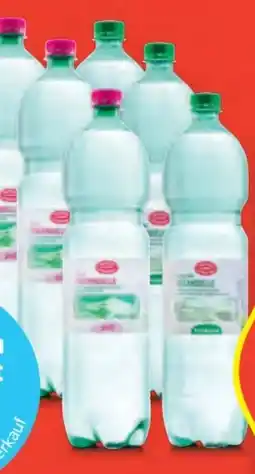 Hofer Mineralwasser Angebot