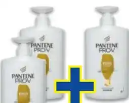 Metro Shampoo Angebot