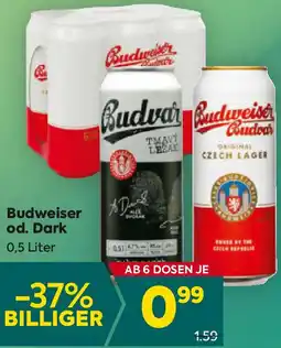 Billa Budweiser od. Dark 0.5 Liter Angebot
