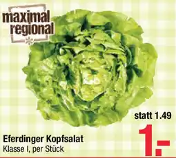 Maximarkt Eferdinger Kopfsalat Angebot