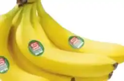 Maximarkt Bananen Angebot