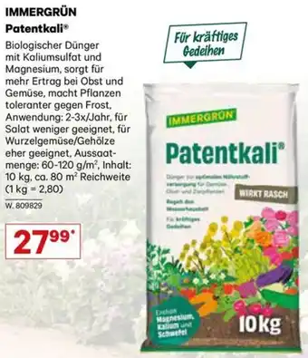 Lagerhaus IMMERGRÜN Patentkali Angebot