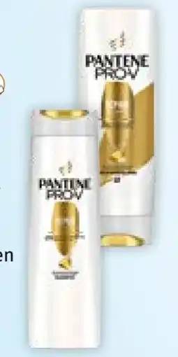 Müller Shampoo Angebot