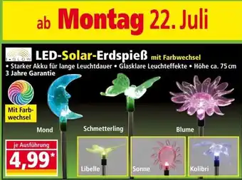 Norma LED Solar Erdspieß Angebot