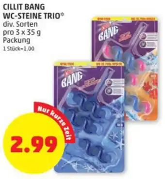 PENNY Cillit Bang WC-Steine Trio Angebot