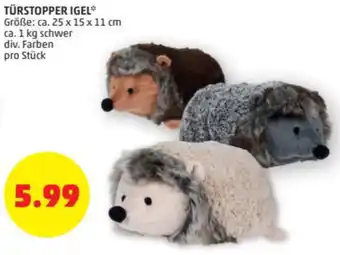Türstopper Igel