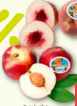 ADEG Nektarinen Angebot