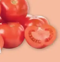 PENNY Tomaten Angebot