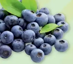 PENNY Heidelbeeren Angebot