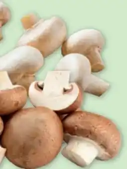 PENNY Champignons Angebot