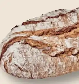 MPreis Bio Krustenbrot Angebot