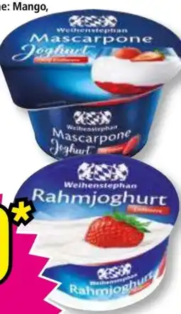 Norma Mascarpone Joghurt Angebot